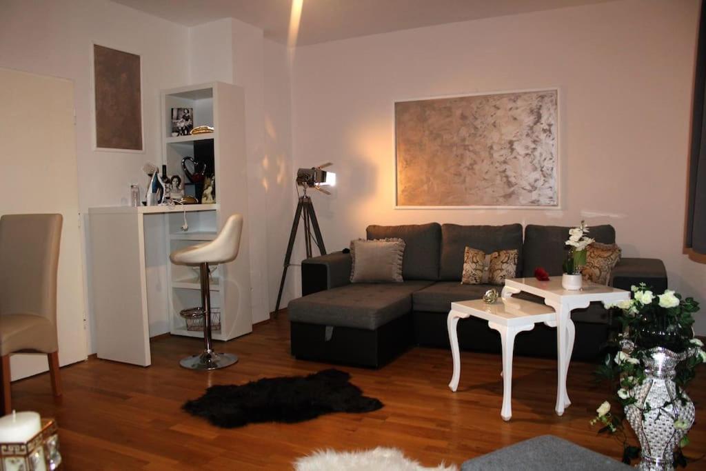 12-Fratelli Apartments Schloss Schonbrunn 10 To City ウィーン エクステリア 写真